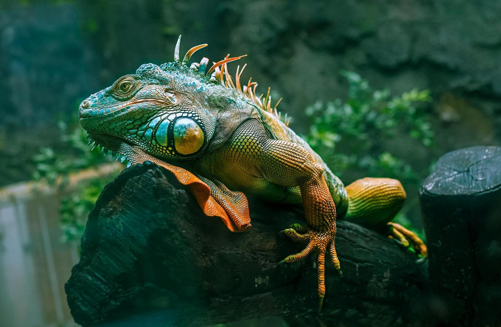 Delivering excellence
& sustaining growth